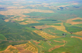 Palouse from the air.JPG